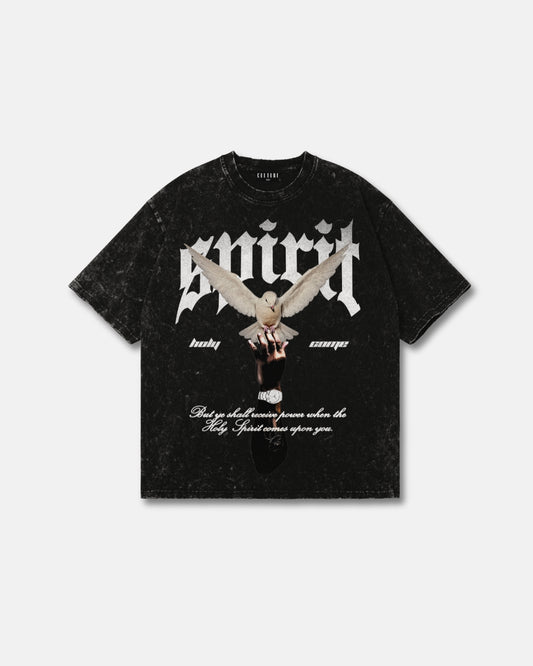Holy Spirit Come / Graphic Tee
