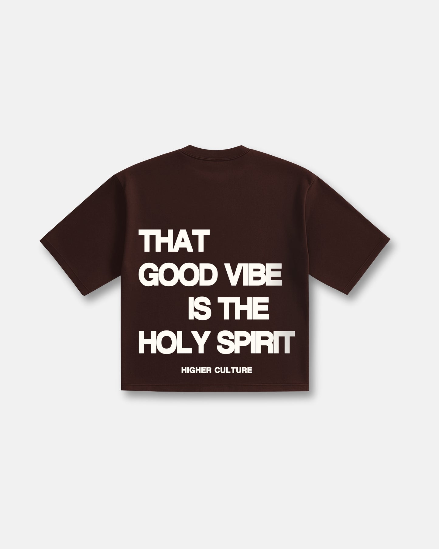 Holy Vibes / Brown Tee