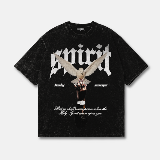 Holy Spirit Come / Graphic Tee